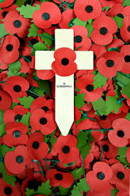 remembrance day cross and poppys